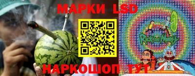 гашик Можга