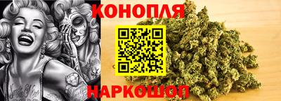 гашик Можга