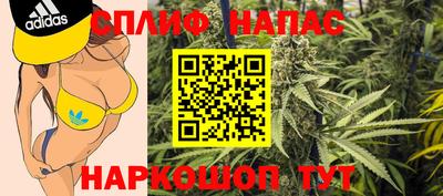 эйфоретик Моздок