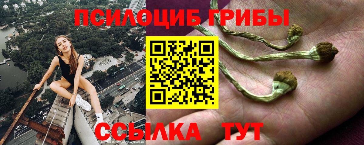 Галлюциногенные грибы GOLDEN TEACHER Урай