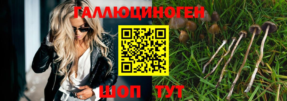 Псилоцибиновые грибы MAGIC MUSHROOMS  Вход с VPN  Псилоцибиновые грибы MAGIC MUSHROOMS  Урай 